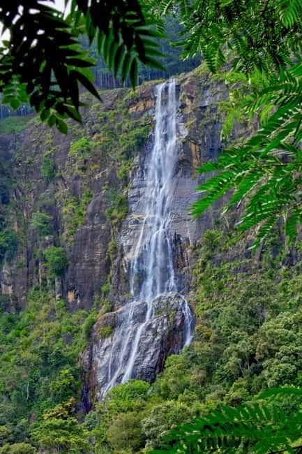Ella: Waterfall hunting Hike to Bambarakanda and Lanka Falls - The route to Bambarakanda Falls