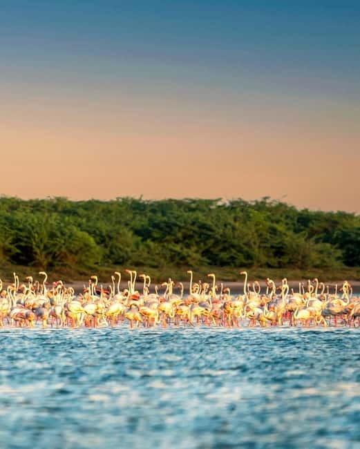 Ella : Yala Safari Drop : Arugambay / Arugam bay / Pottuvil - What the $97 price really covers