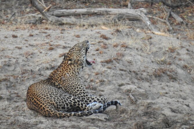 Evening Safari - Yala National Park with Janaka safari - 02.00 pm to 06.30 pm - Birdwatching Adds More Than Filler