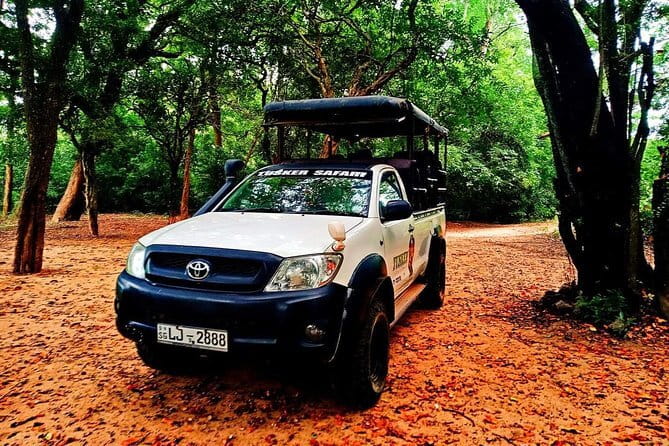 Everything in Udawalawe (Safari, Accommodation with Half Board) - Is $120 a fair price?