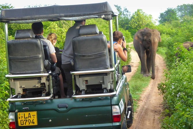 Everything in Udawalawe (Safari, Accommodation with Half Board) - Getting there and meeting the operator