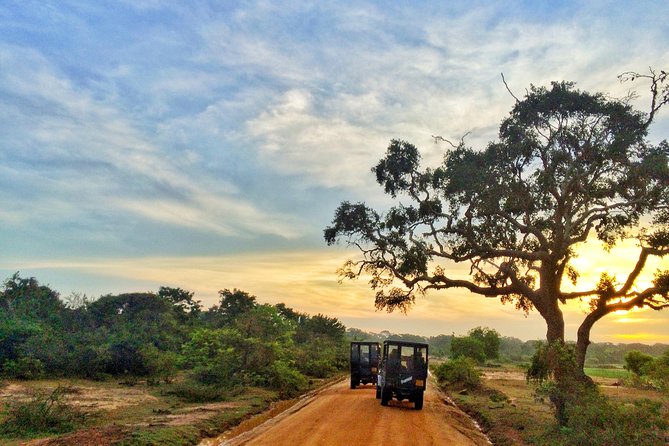 Exclusive: Full Day Leopard Safari at Yala National Park - Entering Yala’s dry-zone habitats