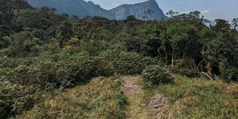 Exclusive knuckles Camping Tour from kandy - Fitness, clothing, and the wet-weather reality