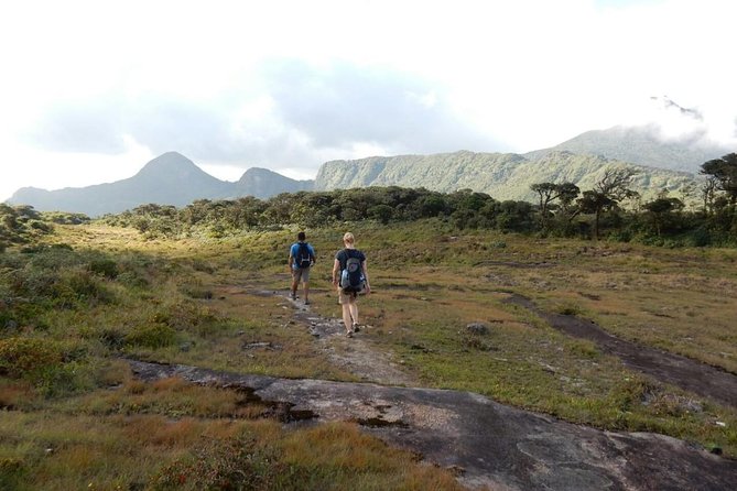 Exclusive knuckles Camping Tour from kandy - Day One: Tea Trails, Bridges, and the Rocky Plateau
