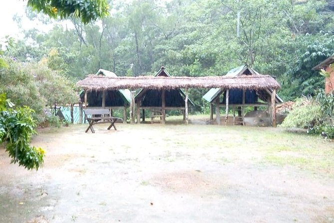 Exclusive knuckles Camping Tour from kandy - Day one: tea trails, rocky paths, and cloud forest