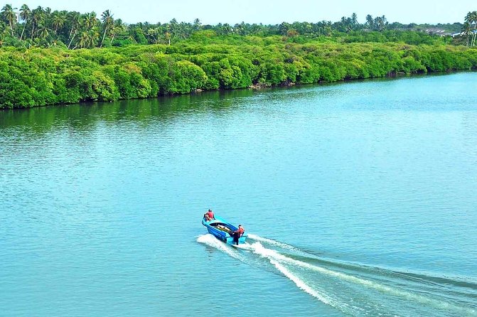 Exclusive: Muthurajawela Bird Watching Tour with Transfers - Crocodiles, monkeys, and water monitors