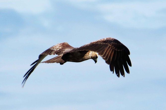 Exclusive: Muthurajawela Bird Watching Tour with Transfers - The boat route through mangroves and lagoon channels