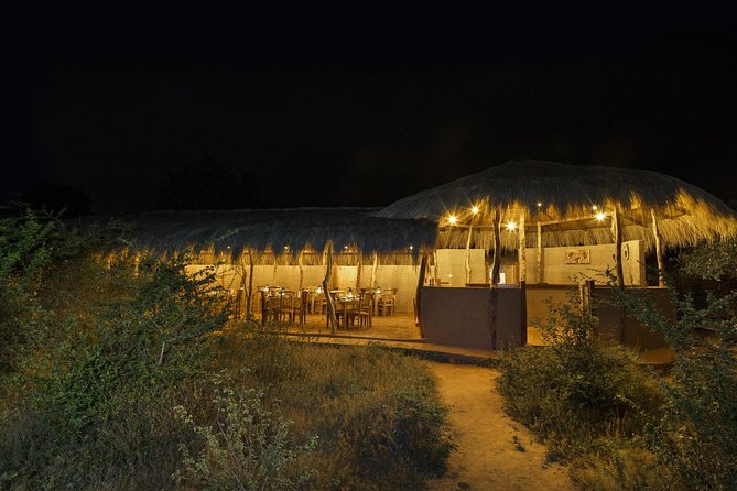 Exclusive : Overnight Leopard Safari with Luxury Glamping - Key Details Before You Book