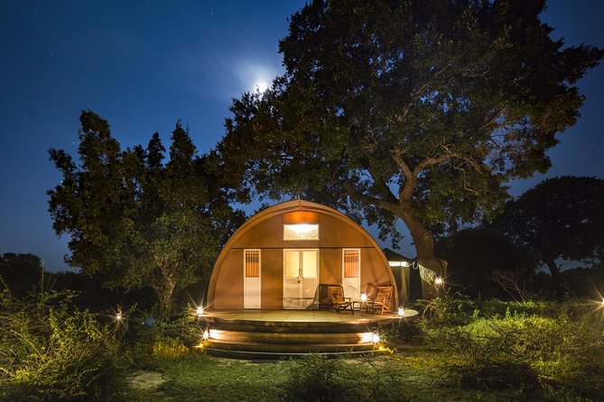 Exclusive : Overnight Leopard Safari with Luxury Glamping - Arriving at Leopard Nest Around 1:00 pm