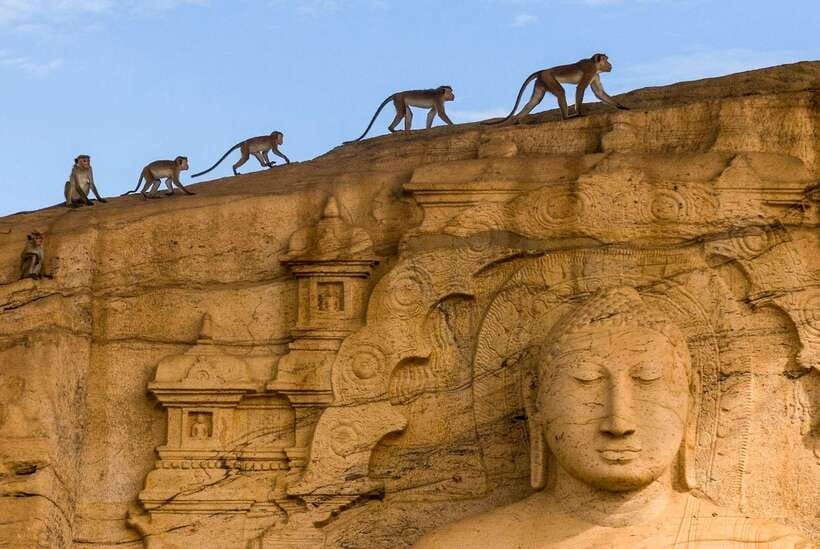 Exclusive: Sigiriya Fortress & Polonnaruwa Guided Tour - Local lunch between the ancient sites