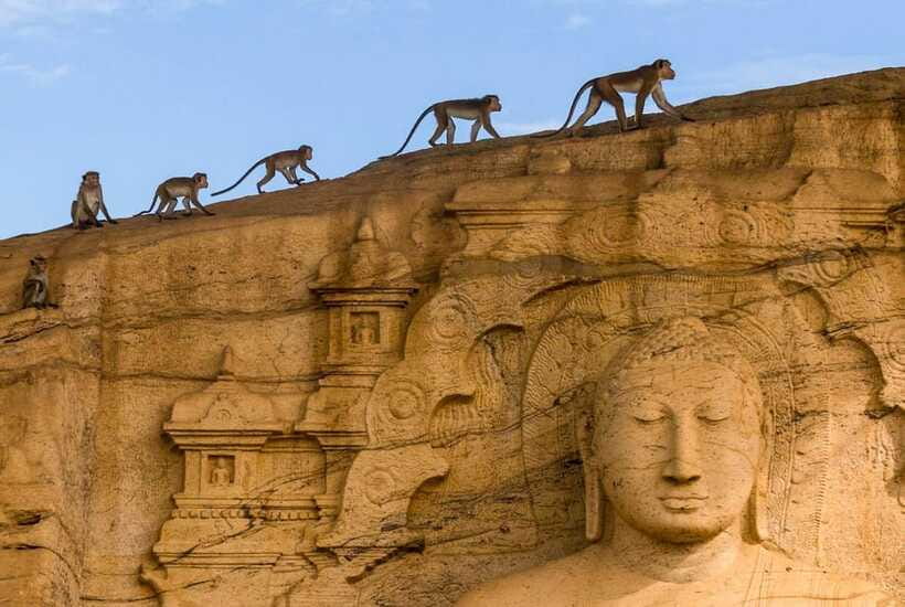 Exclusive: Sigiriya Fortress & Polonnaruwa Guided Tour - The guide and driver can shape the day