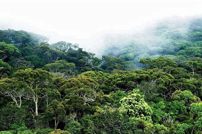 Experience the Beauty and History of Sri Lanka - Who should choose this two-day trip?