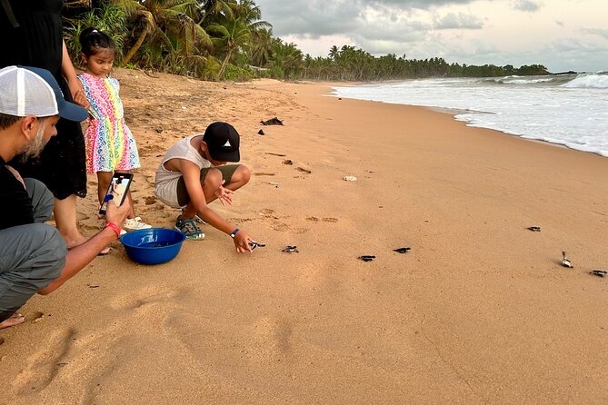 Explore Bentota Village: Guided Tuk Tuk Safari - Should You Book the Bentota Village Safari?