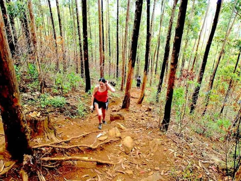 Explore Ella: Rock Hike, Loop, Falls, Nine arch & Train View - Key Points Before You Book