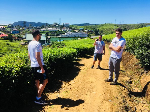 Explore Nuwara Eliya | Experience the Best Tea in the World - Why this private Nuwara Eliya tour works
