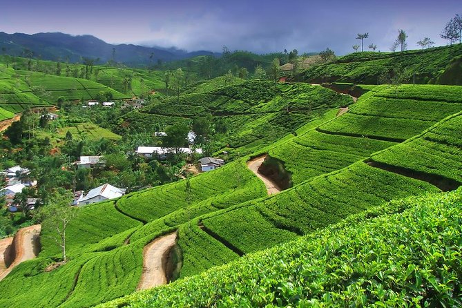 Explore Nuwara Eliya | Experience the Best Tea in the World - Ramboda Falls: a cool break on the hill road