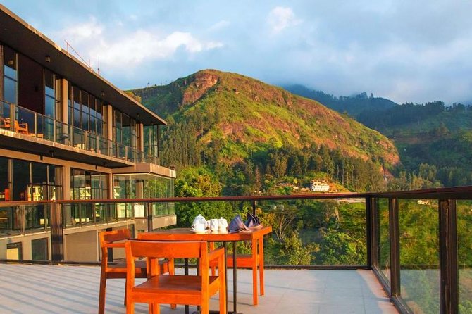Explore Nuwara Eliya | Experience the Best Tea in the World - Oak Ray Tea Factory and Museum: leaf, machinery, and a cup