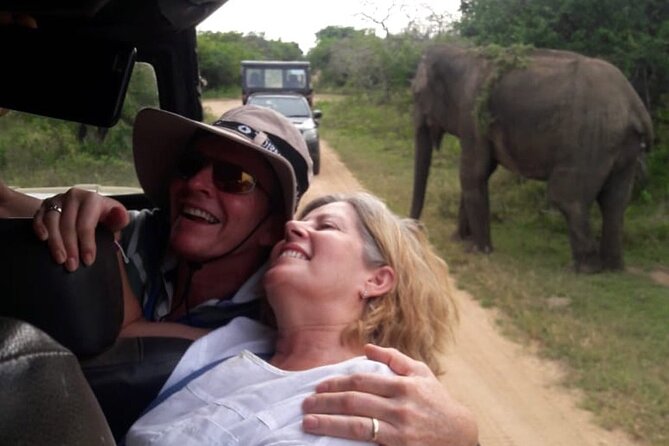 Explore The Beauty Of Udawalawe National Park From South Coast During 01 Day - Buying tickets at Udawalawe National Park