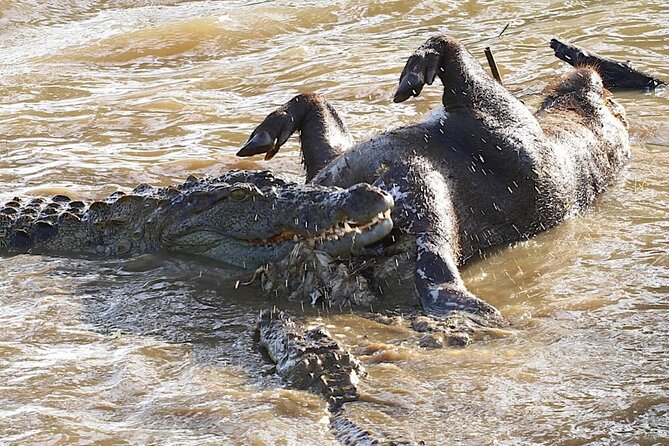 Explore The Beauty Of Udawalawe National Park From South Coast During 01 Day - What the strongest service praise means for you