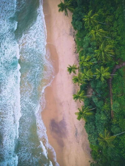 Explore the MAGIC of Sri Lanka in 7days -4 Star hotels Incl.
