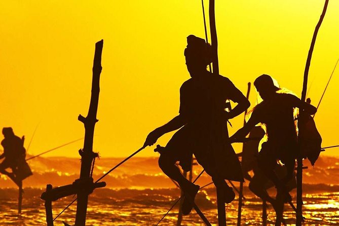 Family-Friendly Private Galle City Tour - Walking Galle Fort for Two Hours