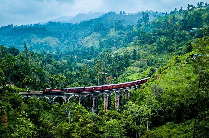 First Class Scenic Train Ticket From Kandy To Ella - Misty forests and the first mountain views