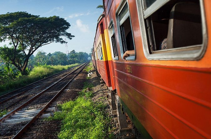 First Class Scenic Train Ticket From Kandy To Ella - Nanuoya, villages, and tea country