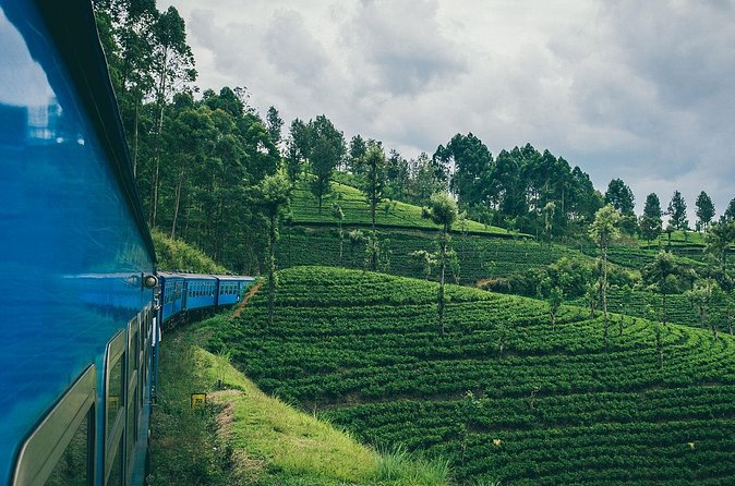 First Class Scenic Train Ticket From Kandy To Ella - Is $95 a fair price?