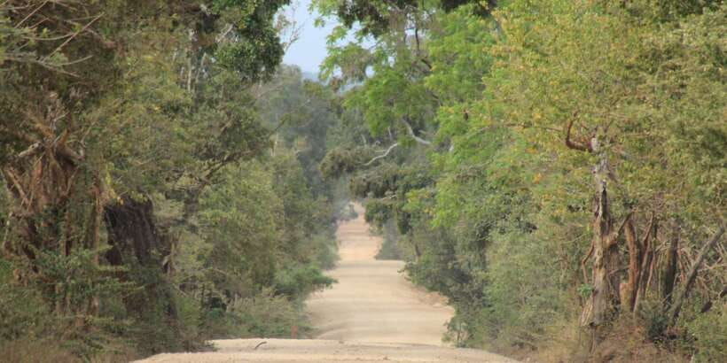 From: Ahungalla/Ambalangoda/Kosgoda/Balapitiya - YALA Safari - Food, children, and physical comfort