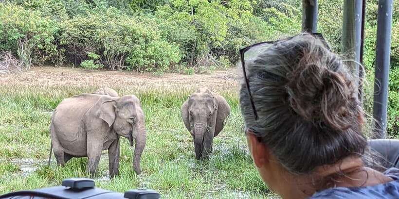 From Arugambay : Yala National Park Safari & Dropoff in Ella - The drop-off in Ella