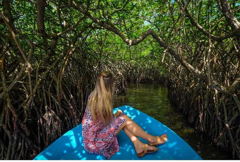From Bentota: Exclusive Madu River Safari & Turtle Hatchery - Kosgoda Turtle Conservation and Research Centre
