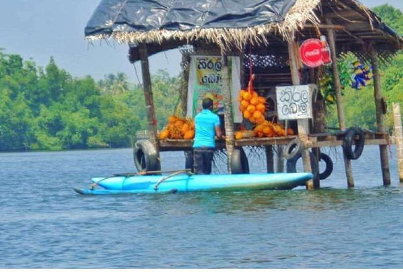 From Bentota: Exclusive Madu River Safari & Turtle Hatchery - Who will enjoy this morning most