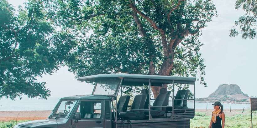 From Bentota: Full-Day Yala National Park Safari Tour - The return to Bentota and the practical limits