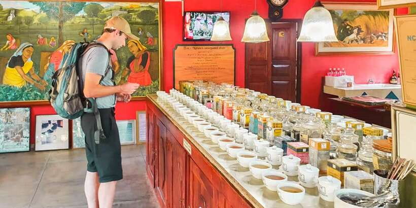 From Bentota: Southern Coast Highlights Private Day Tour - The pace, comfort, and practical drawbacks