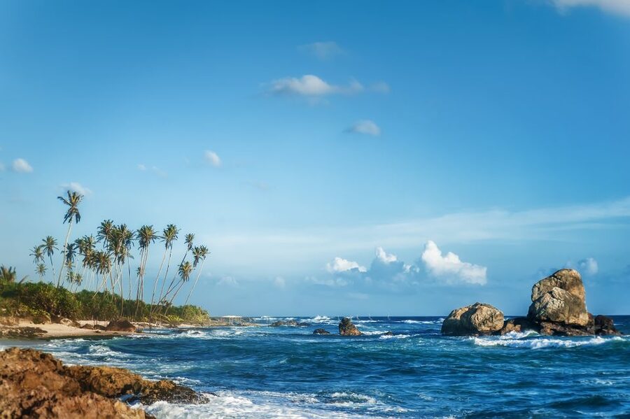 From Colombo: Day Trip to Galle City, Koggala and Unawatuna - Koggala and the stilt fishermen