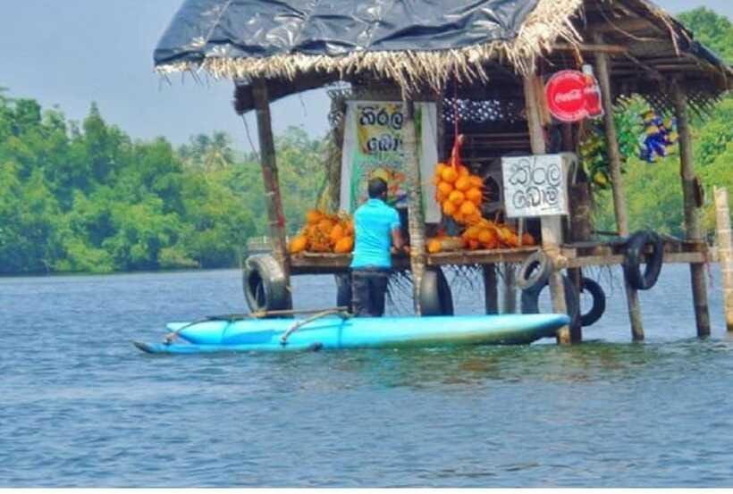 From Colombo: Exclusive Madu River Safari & Turtle Hatchery - What the guides and private format add