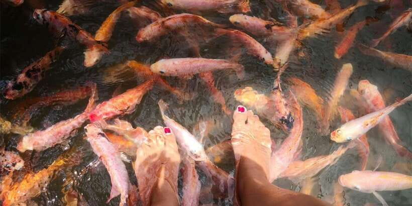 From Colombo: Handungoda, Galle, Ahangama, & Kosgoda Tour - Is $110 per person good value?