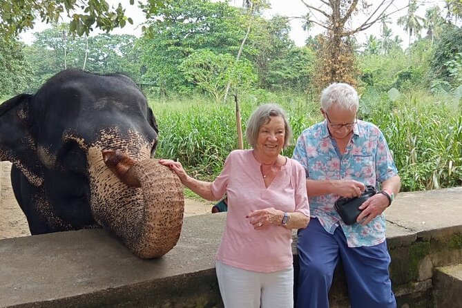 From Colombo: Kandy and Pinnawala Full-Day Trip - Why this Colombo to Kandy day trip works