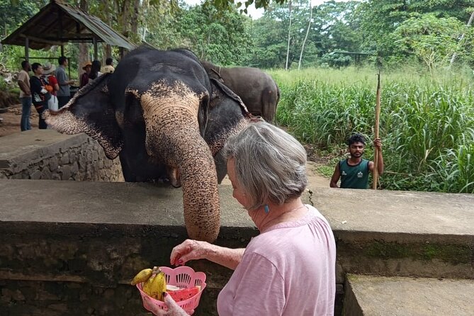 From Colombo: Kandy and Pinnawala Full-Day Trip - One hour among the Royal Botanical Gardens