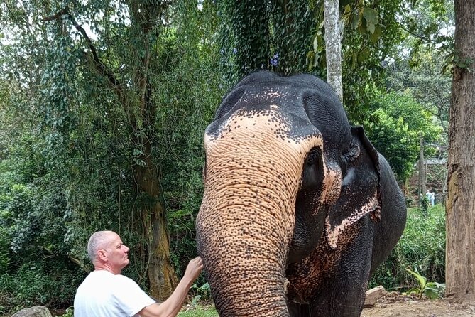 From Colombo: Kandy and Pinnawala Full-Day Trip - The Temple of the Sacred Tooth Relic in Kandy