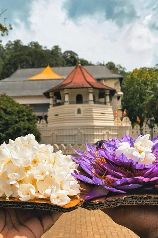 From Colombo: Kandy and Pinnawala Orphanage Short Excursions - What the $75 price really covers