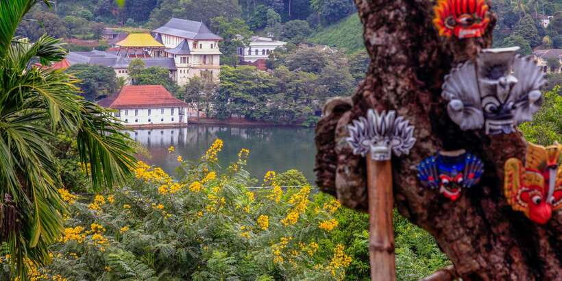 From Colombo: Kandy Full-Day Trip - The Royal Botanic Gardens in about 45 minutes