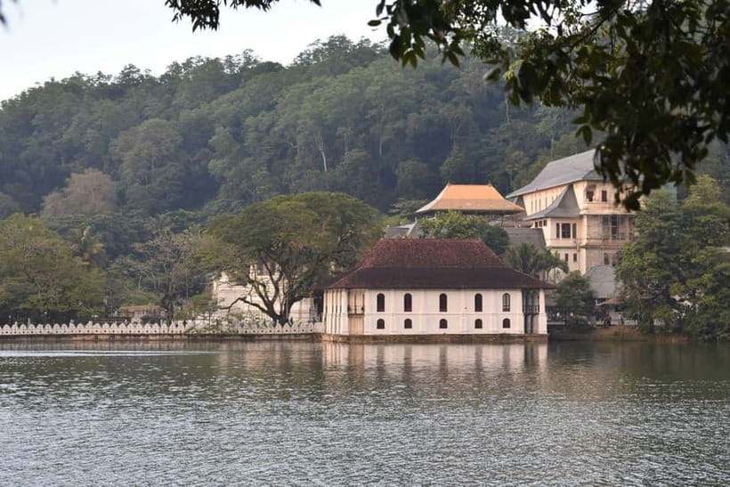 From Colombo: Kandy, Pinnawala and Tea Factory Full-Day Trip - How the guides affect the day