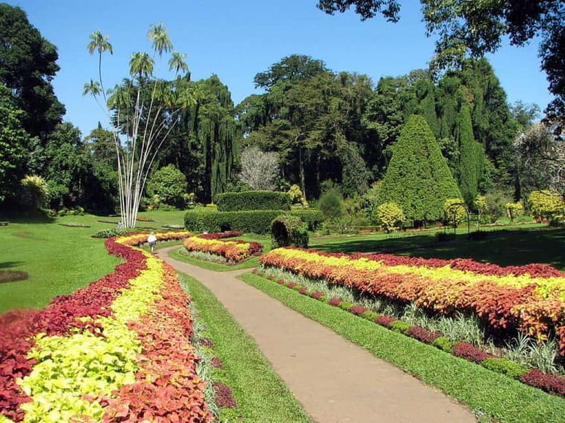From Colombo: Kandy, Pinnawala and Tea Factory Full-Day Trip - Wood carvings, crafts, and the buying stops