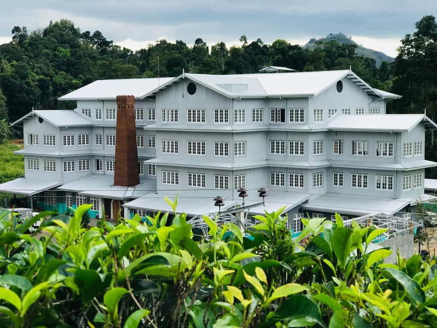 From Colombo: Kandy Temple of Tooth & Elephant Orphanage - Tea, herbs, and a taste of Sri Lanka