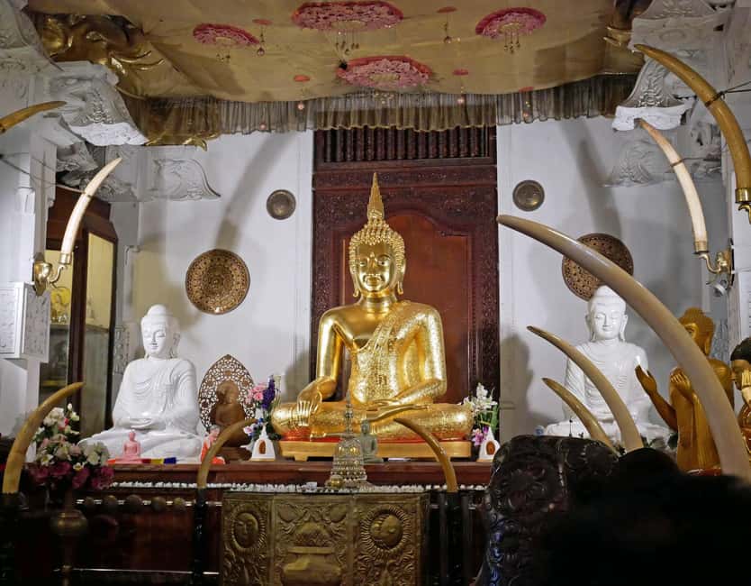 From Colombo: Kandy Temple of Tooth & Elephant Orphanage - Kandy Market, dancing, and free time