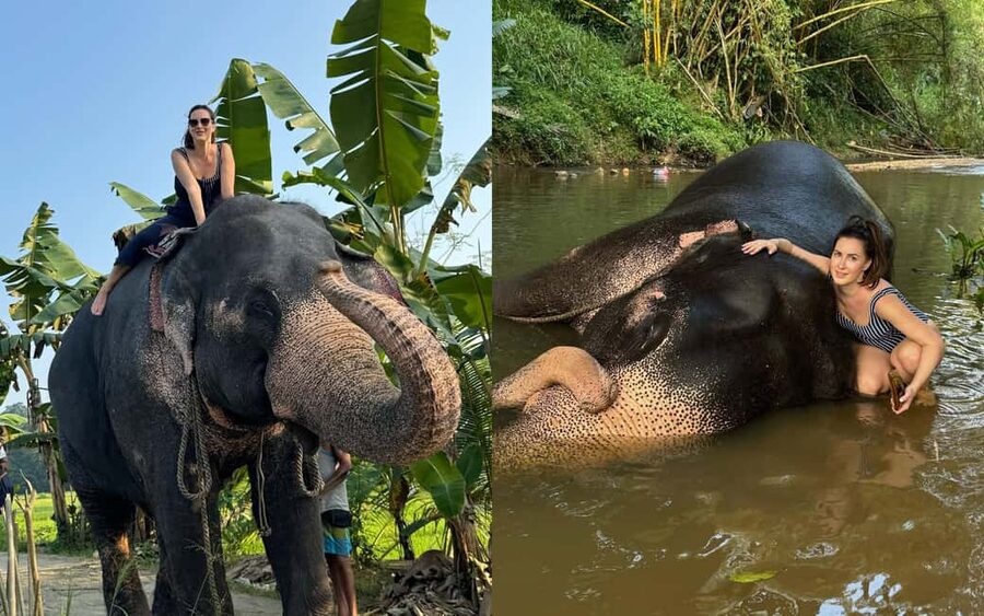 From Colombo: Kandy Temple of Tooth & Elephant Orphanage - The long road from Colombo to Kandy