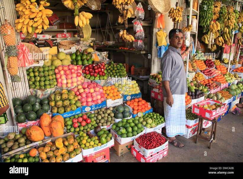 From Colombo: Kandy Temples and Pinnawala Full-Day Tour - Six useful things to know before booking