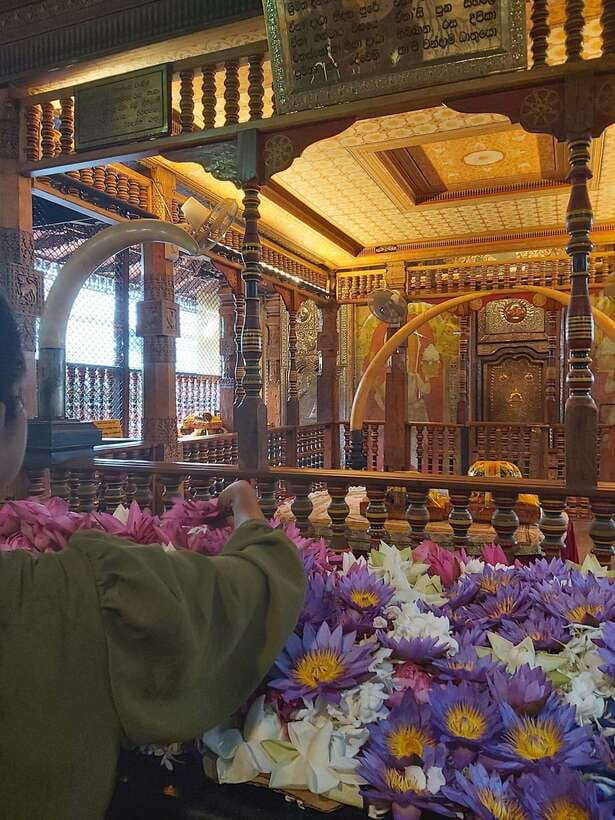 From Colombo: Kandy Temples and Pinnawala Full-Day Tour - A 6:30 AM start and a long Sri Lankan road day