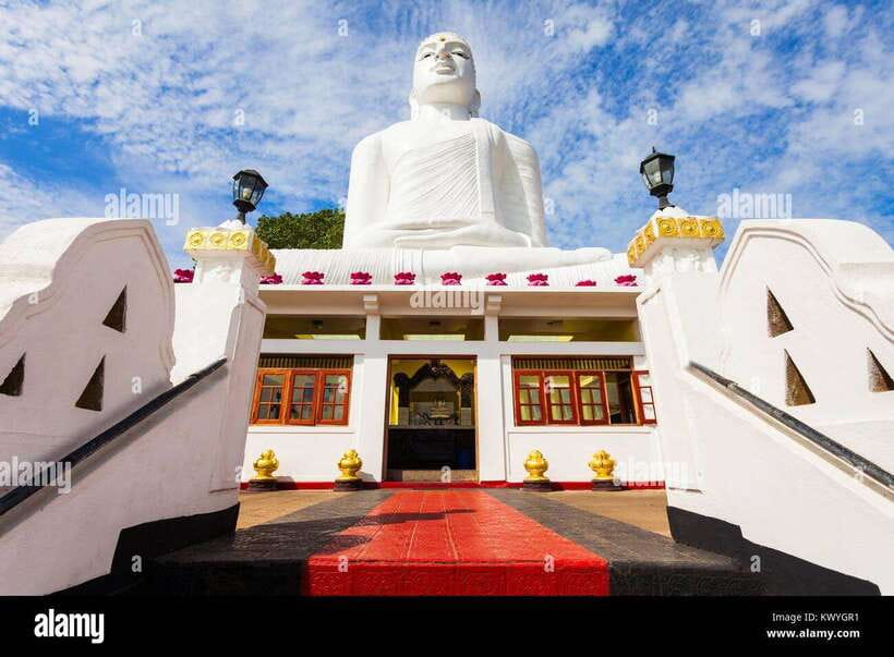 From Colombo: Kandy Temples and Pinnawala Full-Day Tour - Tea production in Pilimathalawa